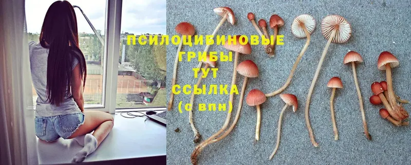 Галлюциногенные грибы ЛСД  Абдулино 